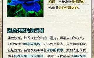 蓝色妖姬盆栽图片的花语是什么？