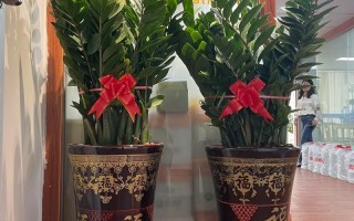 上门卖花卉盆栽赚钱吗