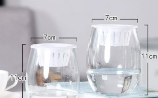 水培风信子花瓶怎么制作？