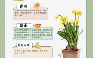 水培花的水怎么处理才合适？