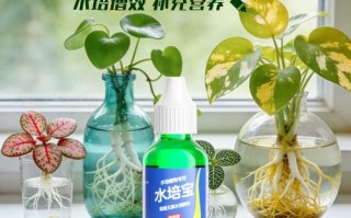 复合肥水培会烧根吗？