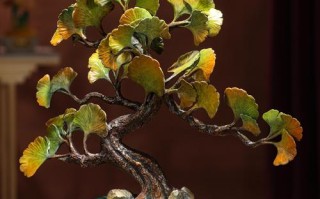 银杏盆栽怎么养？图解方法看这里！