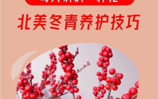 冬天绿植盆栽养护要点有哪些？