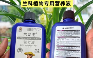 水培营养液能浇兰花吗？