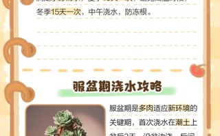北方春季多肉浇水频率怎么把控？