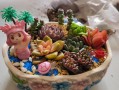 DIY多肉小盆栽，怎么养才更美？