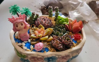 DIY多肉小盆栽，怎么养才更美？
