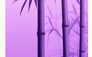 紫色竹子盆栽图片有哪些品种？