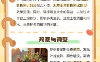 冬天多肉必须搬回室内吗？