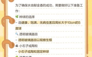 郁金香种球水培怎么种？