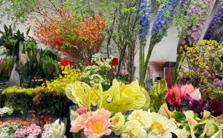 上海花卉盆栽批发市动