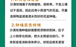 盆栽沙漠玫瑰该施什么肥？