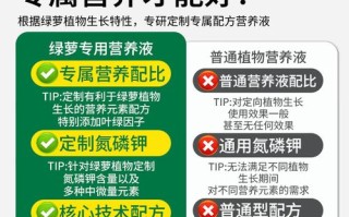 绿萝水培营养液怎么用才正确？