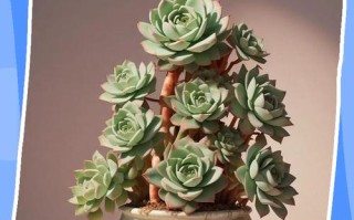 什么多肉植物繁殖最快？