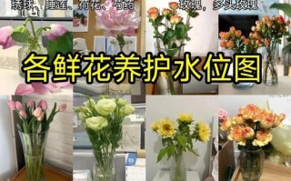 花土培转水培，关键要注意啥？