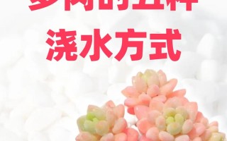 多肉浇凉开水会怎样？