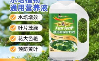 水培花营养液滴几滴才合适？