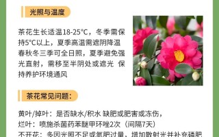 室内盆栽茶花怎样配土