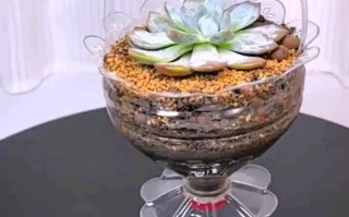 矿泉水自制水培篮怎么操作？