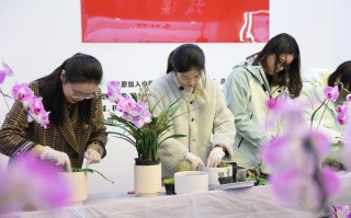江苏盆栽花制作培训班
