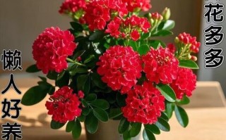 冬天斯文文文文文文文文文文文文文文文文