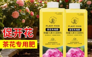盆栽茶花用什么肥最好？