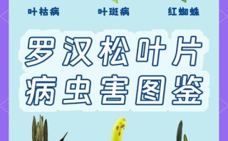 哪些盆栽最易遭虫害侵袭？