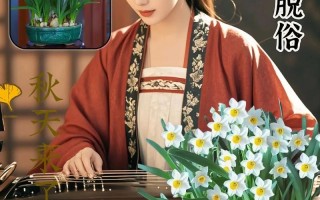 水仙花水培需要放什么肥