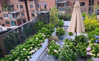 顶楼露台养多肉可行吗？