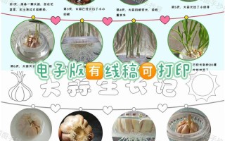 大蒜最简单的盆栽方法