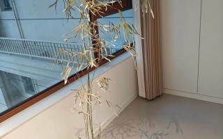 盆栽竹濒危，急救方法有哪些？