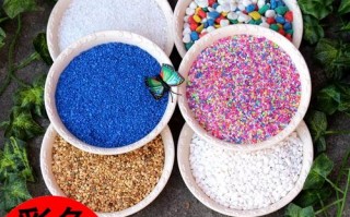 细沙能种好多肉植物吗？