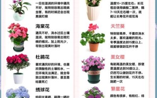 开花小盆栽怎么种才容易开花？