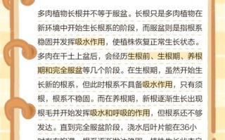 多肉服盆没？怎么判断？