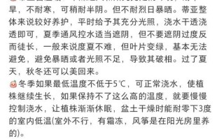 多肉蒂亚下层叶子变白