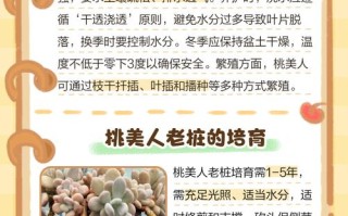 桃美人花语是什么？