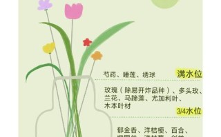 水培花卉的养护管理要点