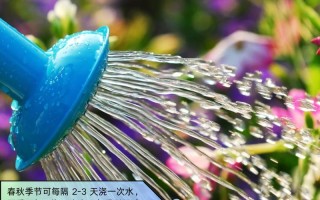 水培一帆风顺如何促开花？