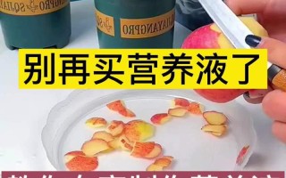 水培绿萝营养液自己怎么做？