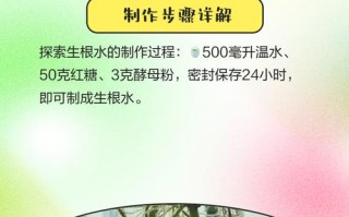 水培营养液自己怎么做？比例多少合适？