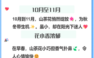 盆栽茶花几月开花？花期多久？