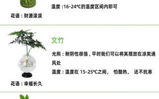 土培和水培的优点和缺点