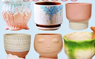 多肉花盆材质有哪些？