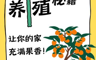 家庭盆栽小金桔怎么养才结果？