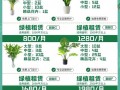 绿植盆栽租赁电话哪里找？