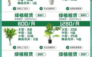 绿植盆栽租赁电话哪里找？