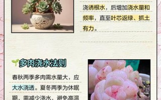 秋天多肉几天浇一次水？