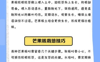 河南能种芒果盆栽吗？
