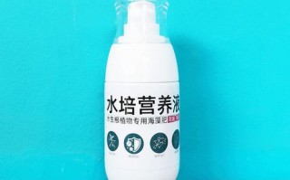 铜钱草水培营养液怎么配？