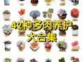 多肉什么季节成活率最高？